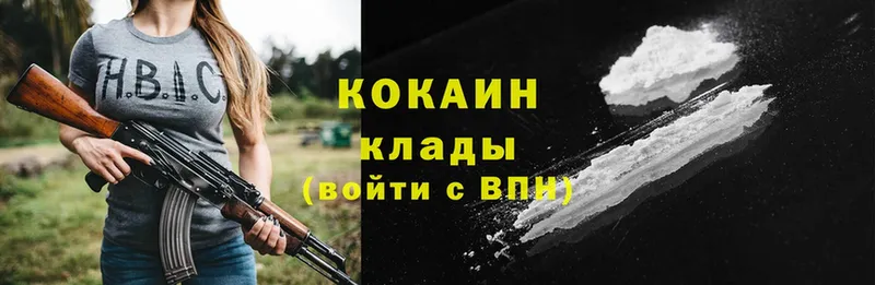 Cocaine Fish Scale  площадка клад  Завитинск 