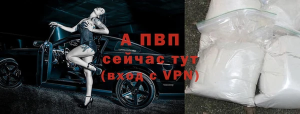 спиды Майский