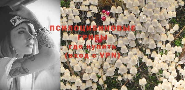 apvp Магас