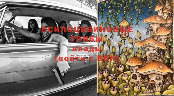стафф Магадан