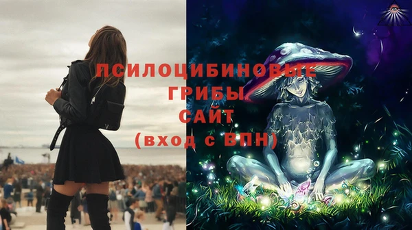 MESCALINE Вяземский