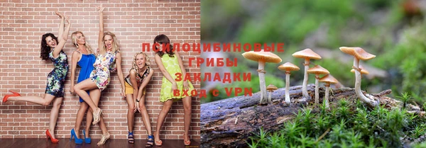 стафф Магадан