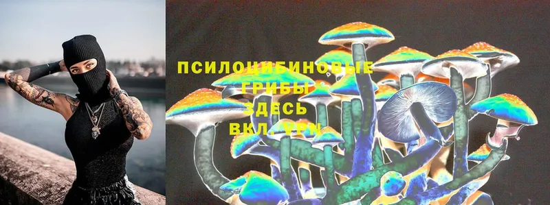 это клад  Завитинск  Галлюциногенные грибы Magic Shrooms  купить закладку 